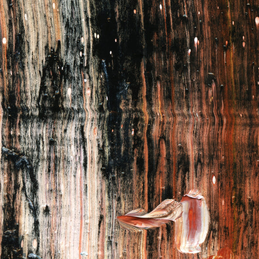 Extinction Event D1 is an abstract oil-on-canvas artwork, a fractal of its parent painting Extinction Event created by Anna Judd for the Scales Collection.