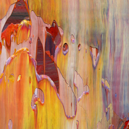 Petaling Away E4 is an abstract oil-on-canvas artwork, a fractal of its parent painting Petaling Away created by Anna Judd for the Scales Collection.