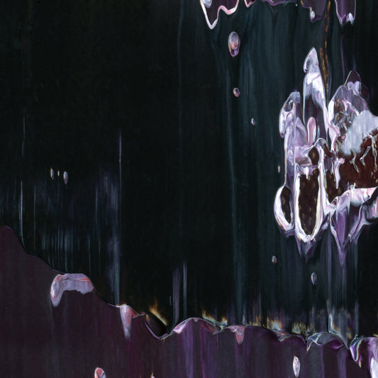 When Women Were Birds B5 is an abstract oil-on-canvas artwork, a fractal of its parent painting When Women Were Birds created by Anna Judd for the Scales Collection.